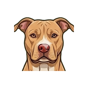 Illustration of a American Pit Bull Terrier