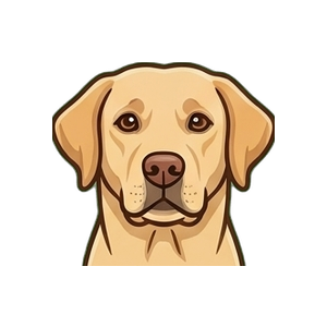 Illustration of a Labrador Retriever