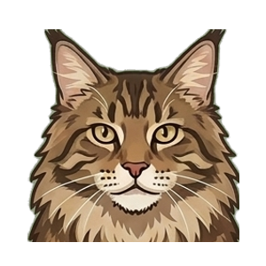 Illustration of a Maine Coon