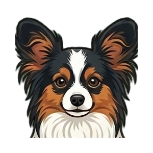 Illustration of a Papillon