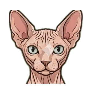Illustration of a Sphynx